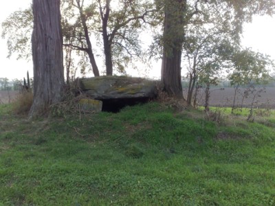 Nahaufnahme de Grosssteingrabes am Heringsberg. Nahaufnahme de Grosssteingrabes am Heringsberg.