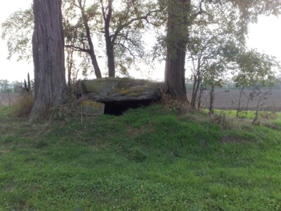 Nahaufnahme de Grosssteingrabes am Heringsberg.